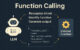 Function Calling